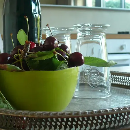 Appartement Webergarten Oestrich-Winkel