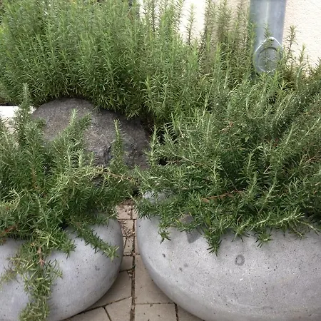 Appartement Webergarten