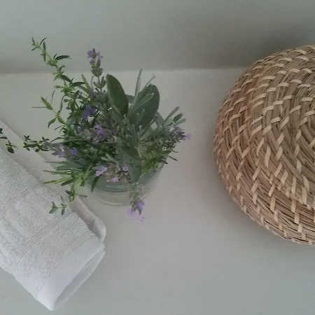 Webergarten Oestrich-Winkel