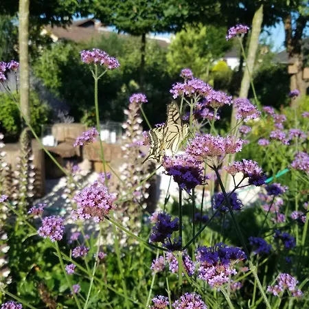 Webergarten Appartamento