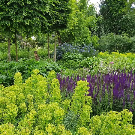 Webergarten Appartement Oestrich-Winkel