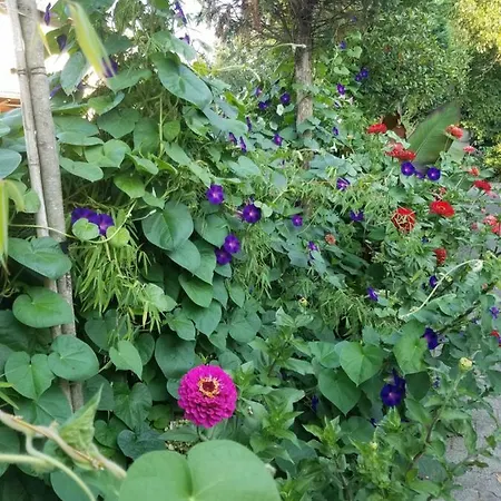 Webergarten 아파트