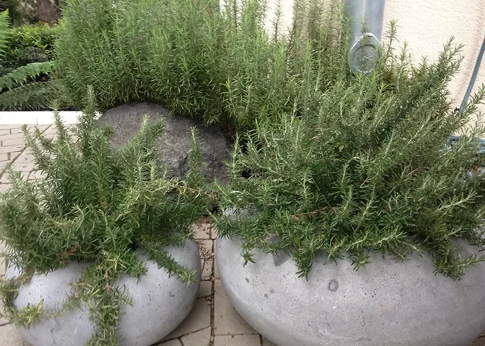 Appartamento Webergarten