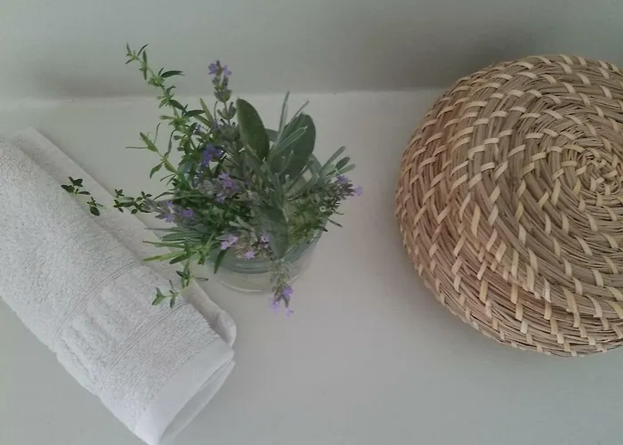 Webergarten Oestrich-Winkel