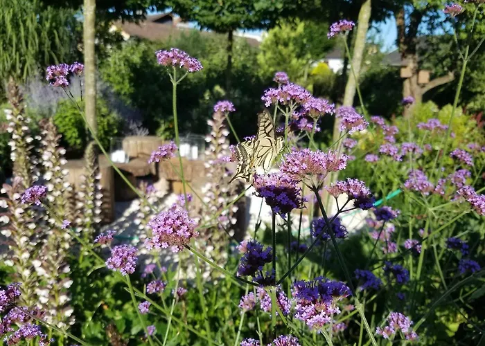 Webergarten Appartamento